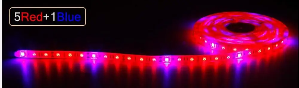 5 red and 1 bule 12 В полный спектр светодиодный светильник для выращивания красный+ синий водонепроницаемый IP65/IP20 для гидропоники цветы растения овощи - Испускаемый цвет: 5 red and 1 bule