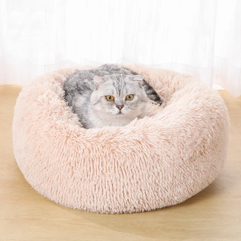 

Pet Products