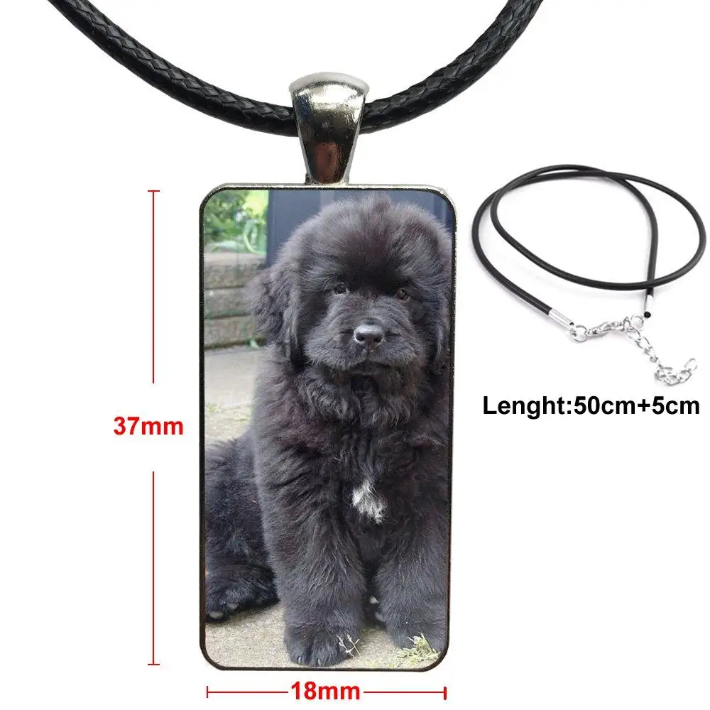 Для мужчин и женщин вечерние Подарочные брендовые стальные цветные ювелирные