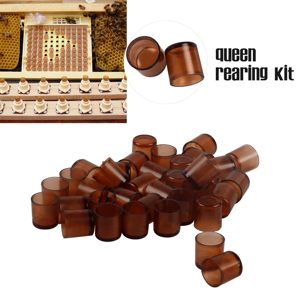 1000 шт. | Пчелиная королевская ячейка система выращивания личинок оборудование
