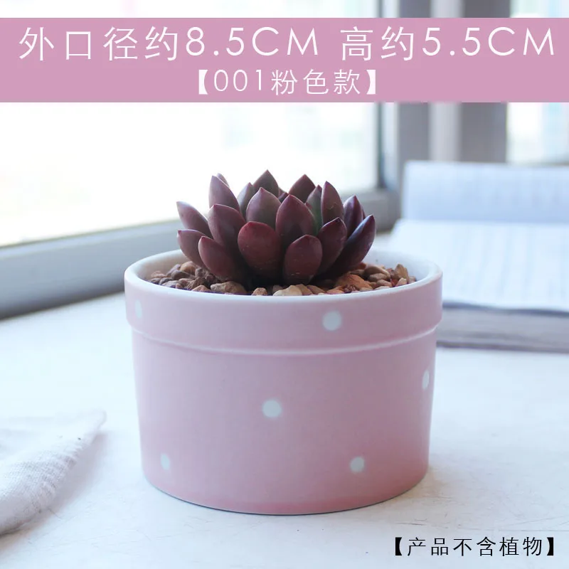 Керамический цветочный горшок с множеством мяса сердце молодой девушки розовый