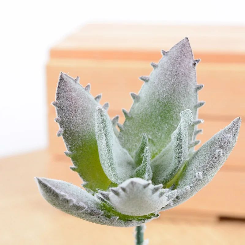 Алоэ мясистое растение имитация Цветочная головка маленькая композиция