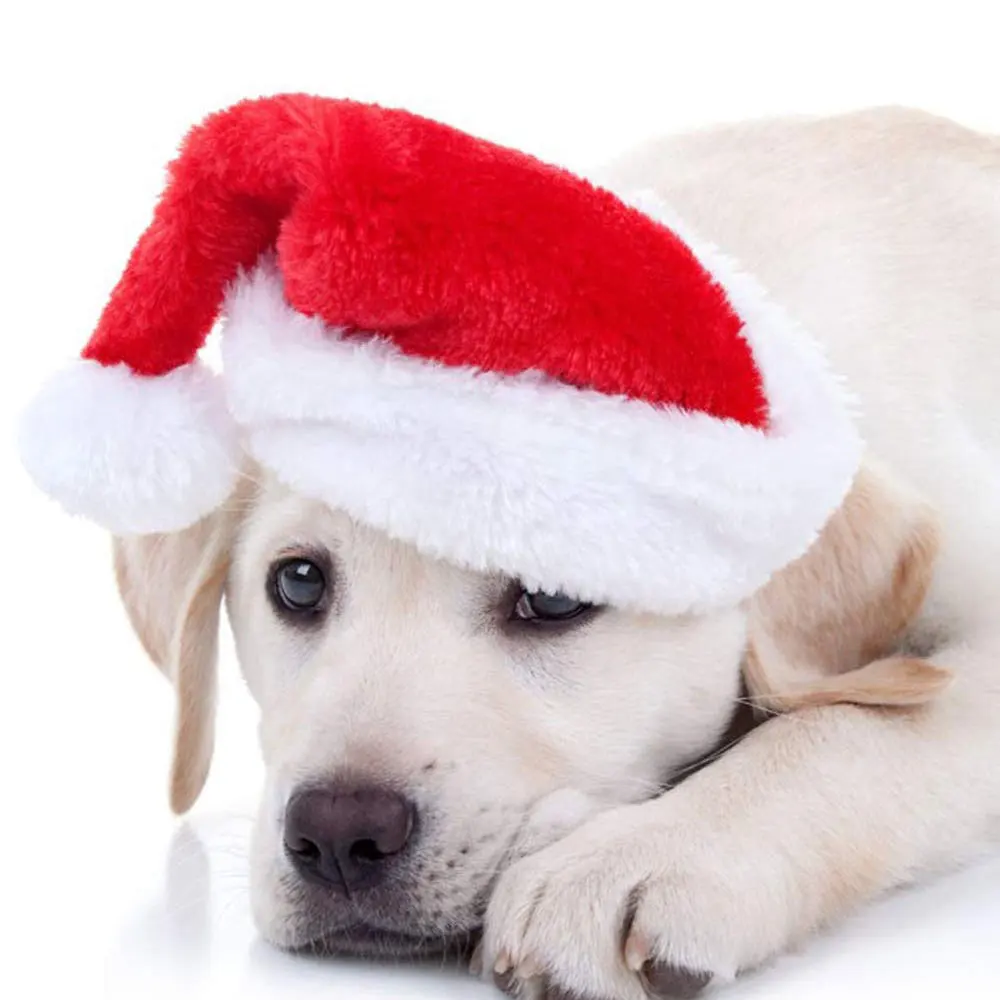 1pcs Pet Christmas Hat Santa Claus for Cats Dogs Puppy Xmas Decoration Festival Party Dog Small Care Toys | Дом и сад