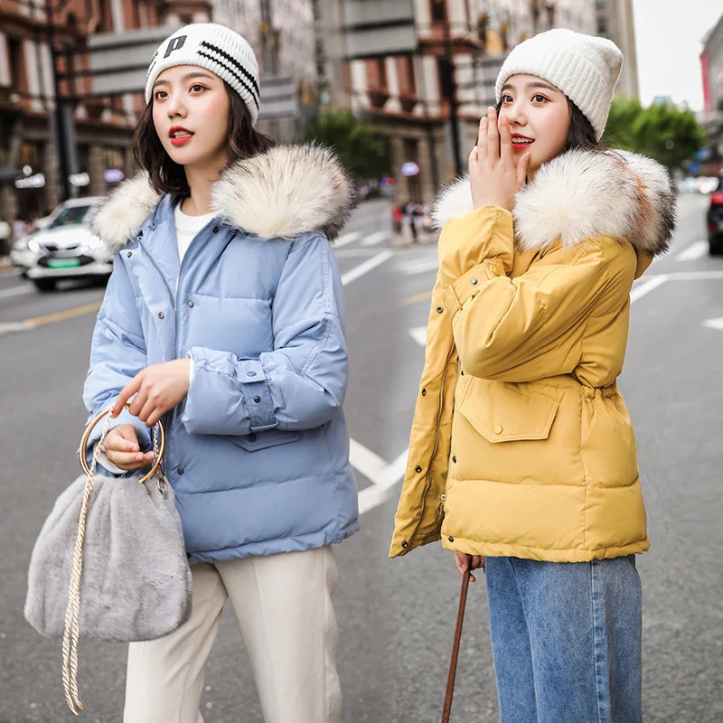 Горячая покупка женщин короткий стиль 2019 новый зимний как корейский модный