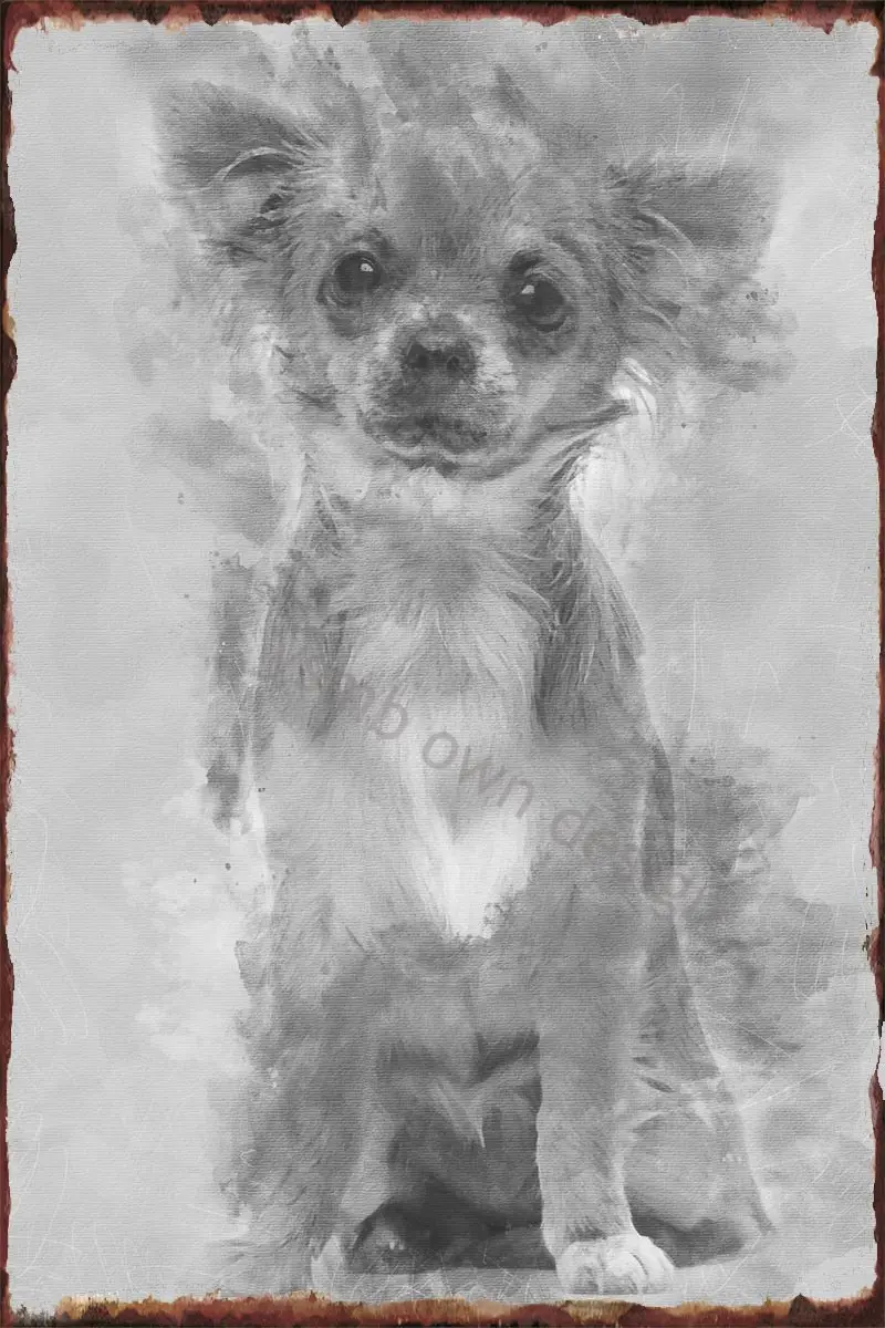 

Винтажный металлический знак Чихуахуа сидячий и выглядящий, жестяные таблички, Настенный декор в стиле ретро для художественного клуба, му...