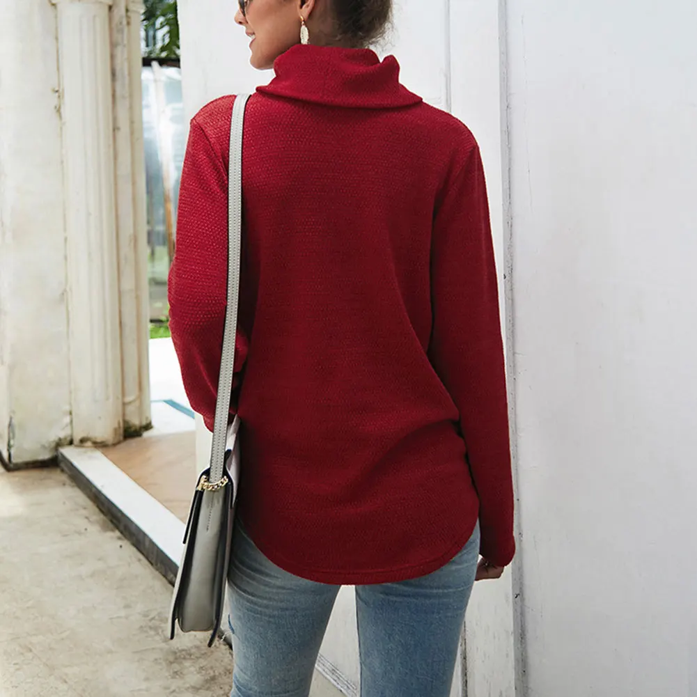 

Newly Women Autumn Winter Sweaters High-necked Solid Color Sweater Long Sleeve Casual Tops Shopping Travel DO99