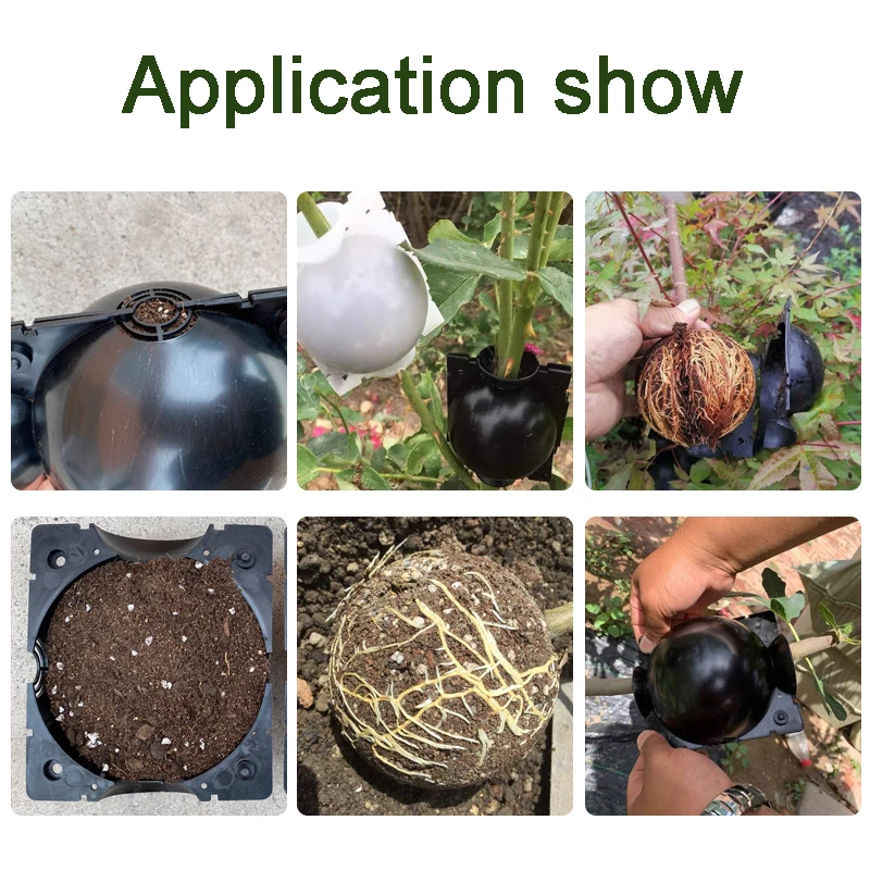 

20pc Plant Rooting Ball Grafting Rooting Growing Box Breeding Seeding Case Container Nursery Box Garden Seeds Root