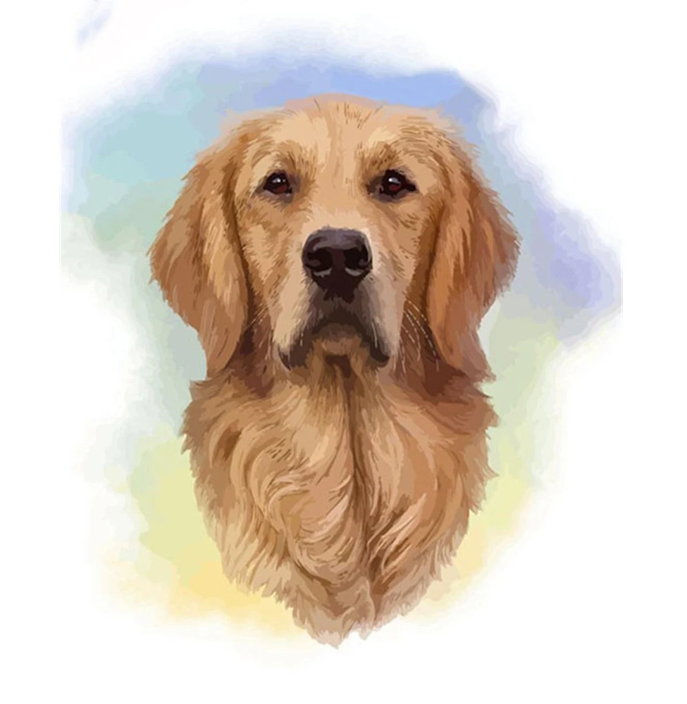 

CraftArtGo картина по номерам животных живопись на холсте Ручная роспись подарок алмазов картина по номерам водопад комплекты, украшение для до...