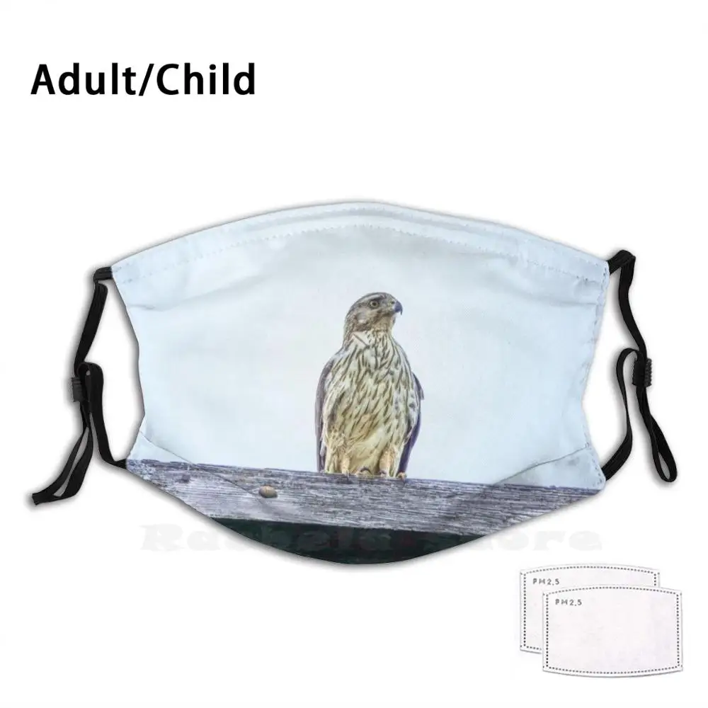

The Broad-Winged Angel Funny Print Reusable Pm2.635 Filter Face Mask Broad Winged Angel Broad Winged Hawk Bird Bird Of Prey
