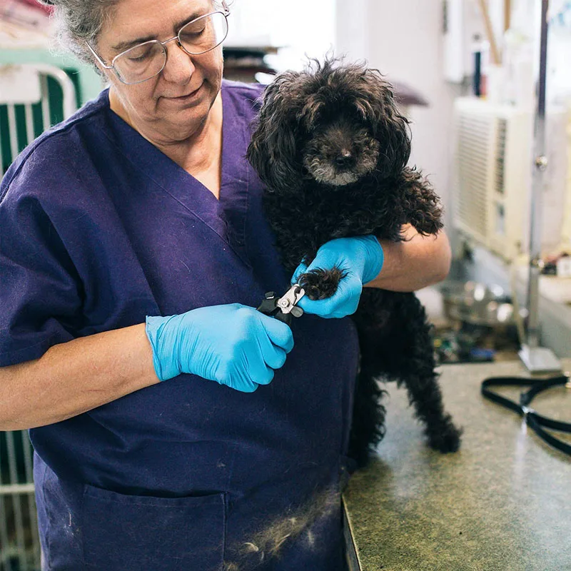 GOALONE 100 шт./компл. одноразовые нитриловые перчатки без порошка текстурированные