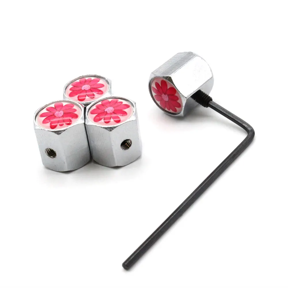 Пылезащитный колпачок для клапана шины DSYCAR 1 комплект|Стержни и колпачки клапана|