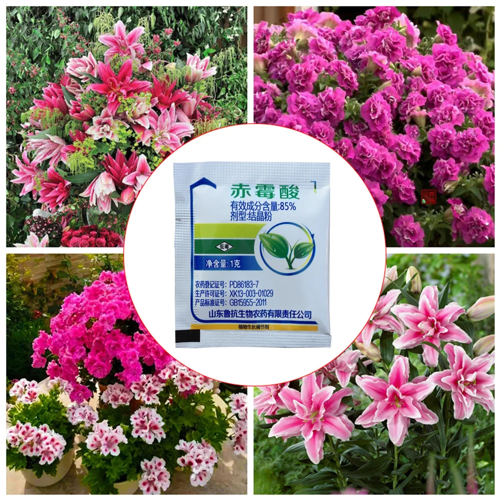 

Concentrate Gibberellic Acid Plant Growth Regulator For Home Garden Bonsai Break Sleep Fertilizer Increase Production 1 Pack