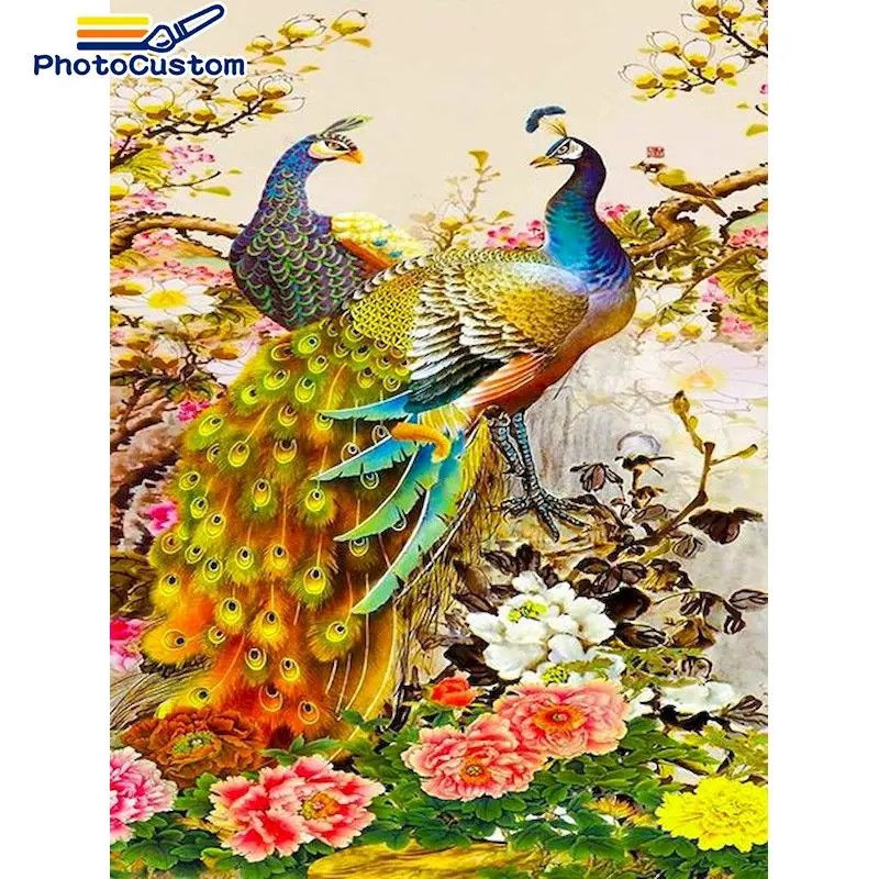 

PhotoCustom DIY Frame paints By Numbers Two Peacock 60x75cm Drawing by numbers Animals On Canvas For adult 40*50cm Art Home Deco