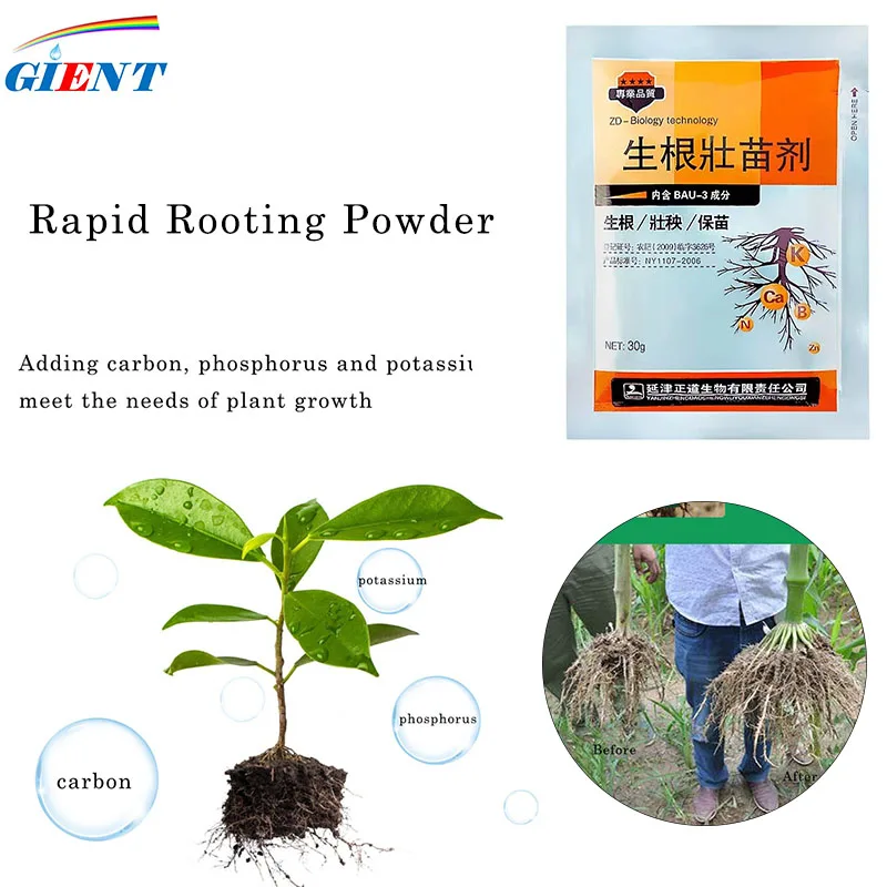 

Rapid Rooting Powder Water Soluble Strong Rooting Growth Hormone Root Seed Germination Flowers Seeds Fertilizer For Plants