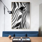 Черно-белая африканская Зебра, живопись на холсте, принты и плакаты, Настенная картина Куадрос для гостиной, украшение для дома