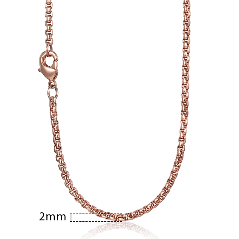 2mm Rose Gold Ожерелье Davieslee для женщин и мужчин, нержавеющая сталь, розовое золото, цветная цепочка, Женское Ожерелье 18-28 дюймов, DKN555 - Окраска металла: 2mm Rose Gold