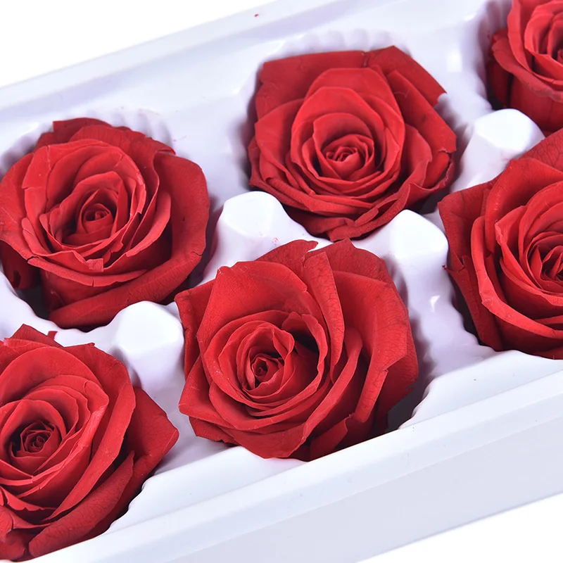 

6Pcs/Pack 5cm Preserved Rose Immortal Rose Valentine's Day Gift Eternal Life Flower DIY Rose Bear Real Flowers