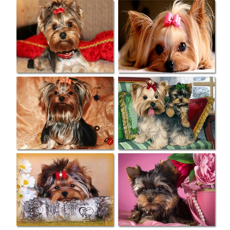 2021 Новогодний подарок алмазная живопись йоркширский терьер собака сделай сам 5D