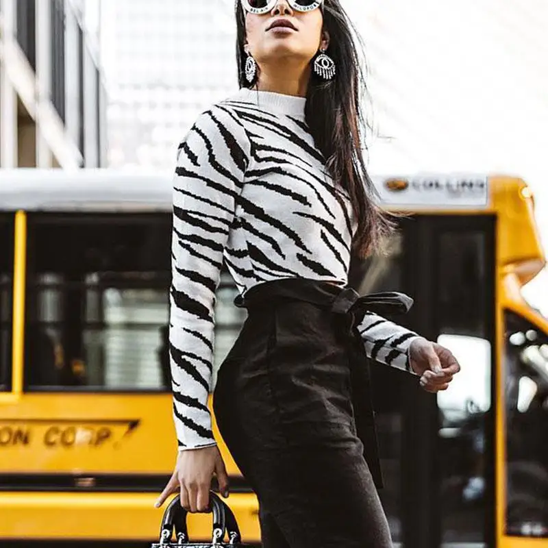 Aartiee свитер с длинными рукавами принтом зебры Повседневный Женский вязаный
