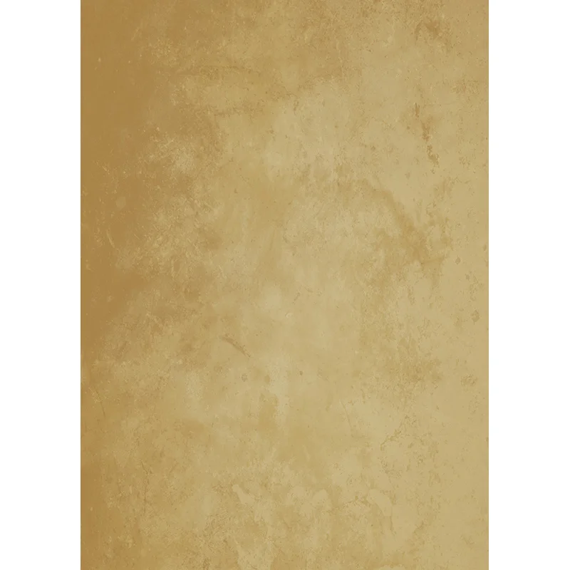 

Vinyl Vintage Hand Painted Photography Backdrops Props Texture Portrait Photo Studio Background 201120PFK-02