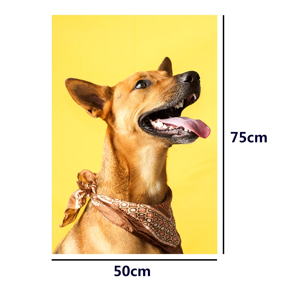 

1000pcs DIY Scarf Dog Puzzle Educational Learning Assembling Jigsaw Toys