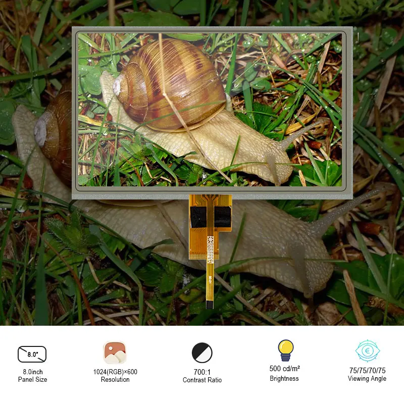 

Original Innolux ZJ080NA-08A FHD Display Screen WithTouch 8 Inch LVDS Tablet LCD Panel 1K Resolution 1024x600