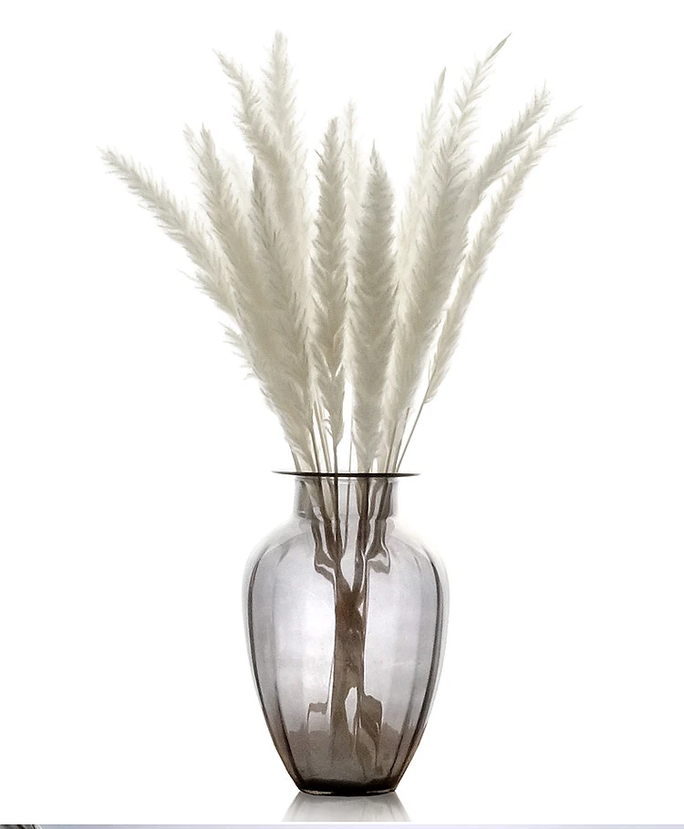 

Bulrush Natural Dried Flowers Artificial Plants Cђове Pampas Grass Phragmites Home Decoration Fake Flower Wedding Colorful