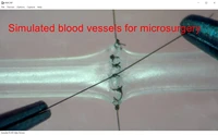 1mm 2mm microsurgery suture training simulation blood vessel ultra thin neurosurgery hand surgery
