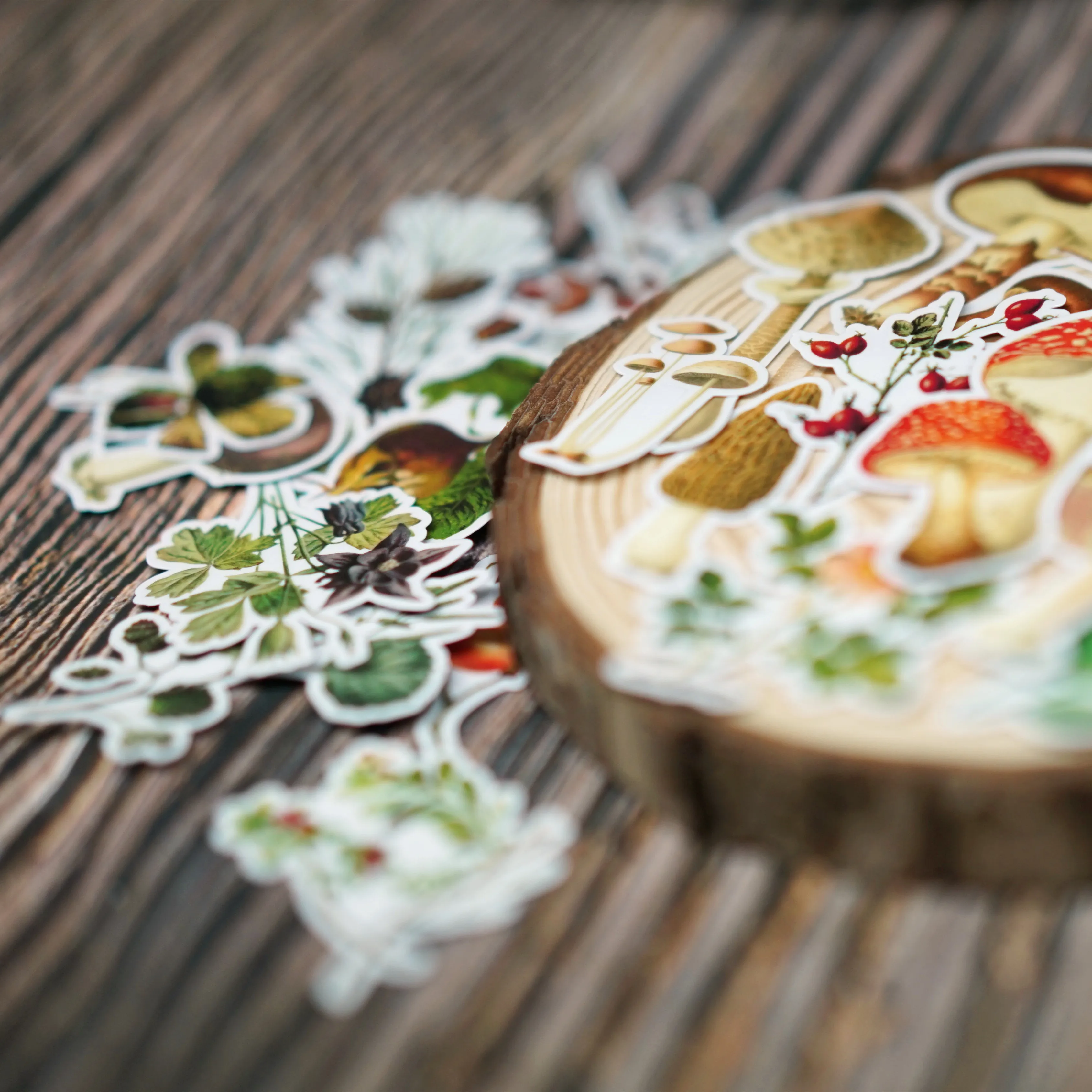 

Vintage Plant Mushroom Illustrated Book Sticker DIY Scrapbook Bottom Collage Phone Diary Album Happy Plan Gift Seal Decoration