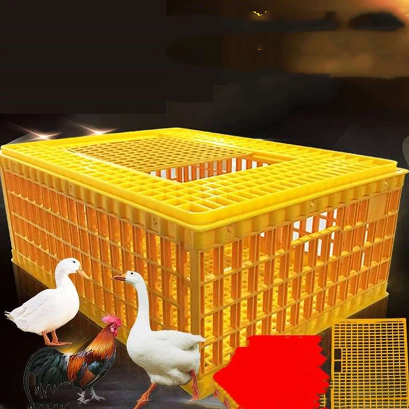 

Chicken Plastic Cage Home Large Extra Duck Goose Poultry Transport Turnover Box Thick