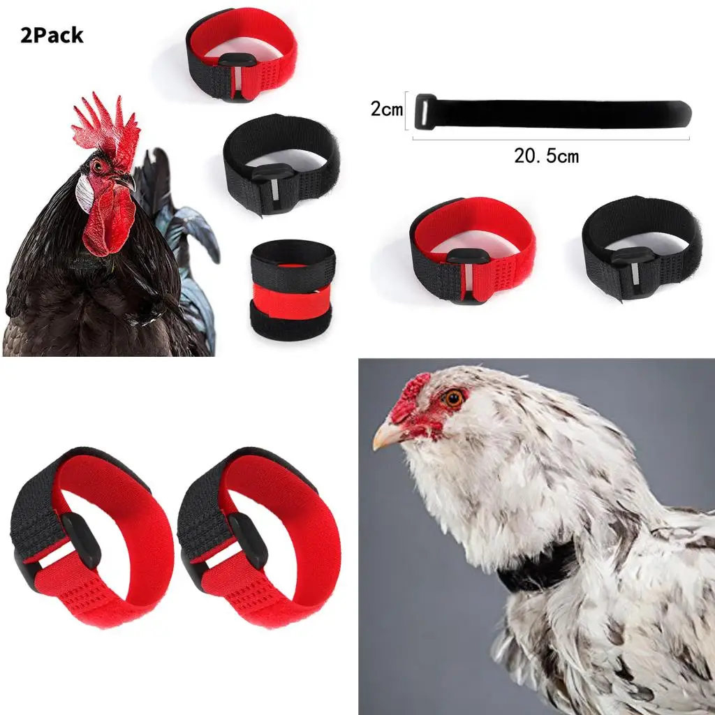 

2x Chicken Collar Prevent Chicken from Screaming for Poultry Duck Goose