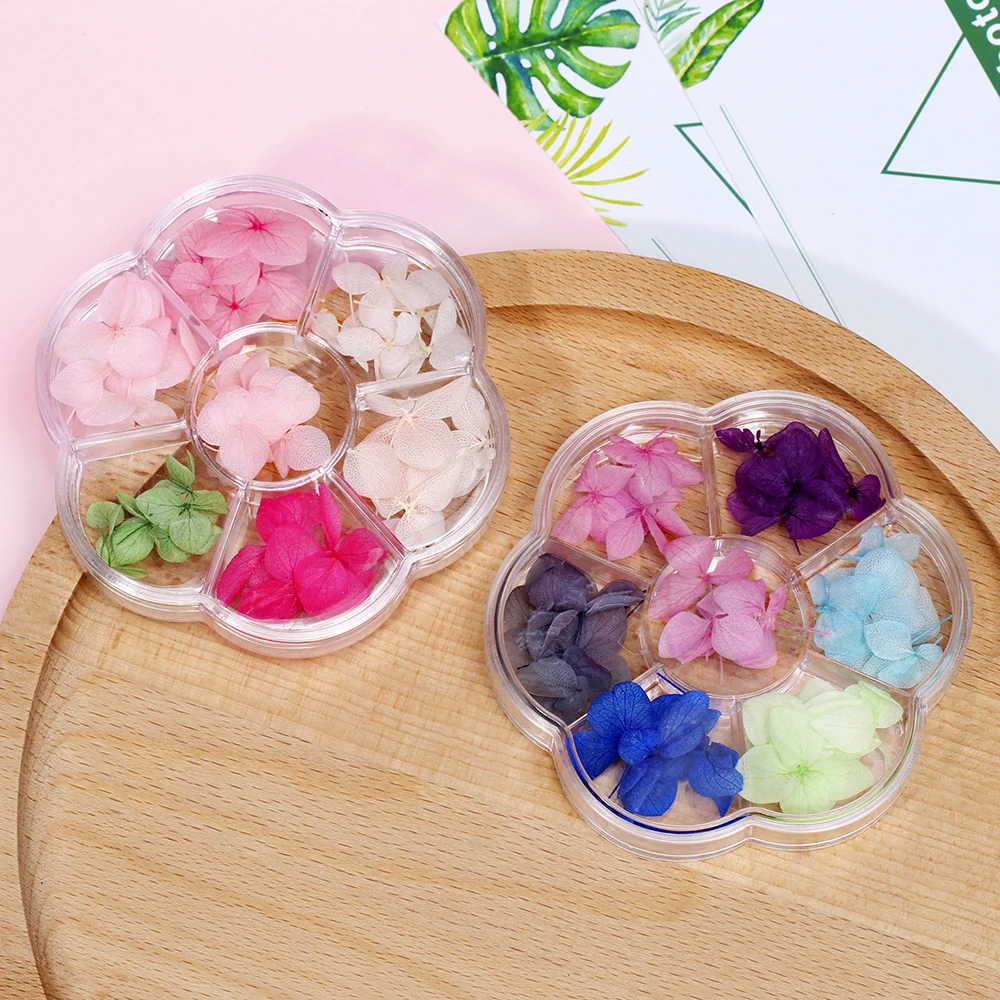 6 видов цветов сухие ногти цветок Стикеры реальные DryFlower синий/розовый/фиолетовый