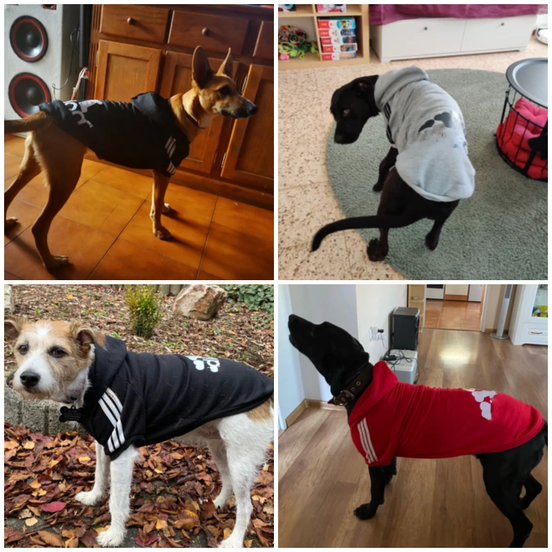 Одежда для собак однотонная Толстовка с принтом одежда домашних животных куртка