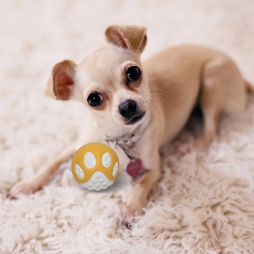 

3pcs Adorable Dog Chewing Squeaky Plaything Creative Puppy Fun