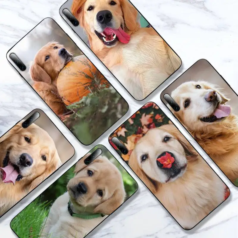 

Hot Cute Golden Retriever Dogs Phone Case For Huawei P9 P10 P20 P30 P40 Lite Pro SMART2019 Cover Fundas Coque