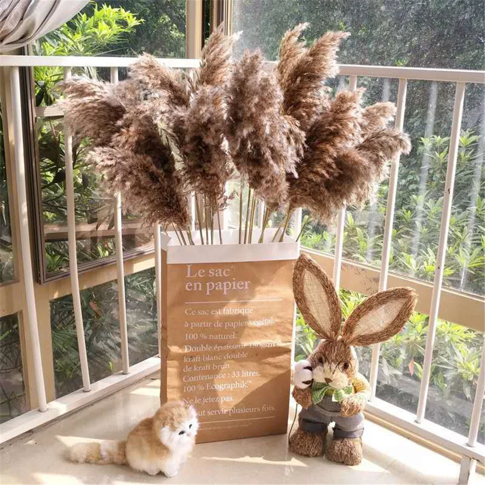 

30PCS Pampas Grass Reed Natural Dry Bouquet Home Wedding Party Office Balcony Decoration Flower Ornaments Plants Bulrush 60CM