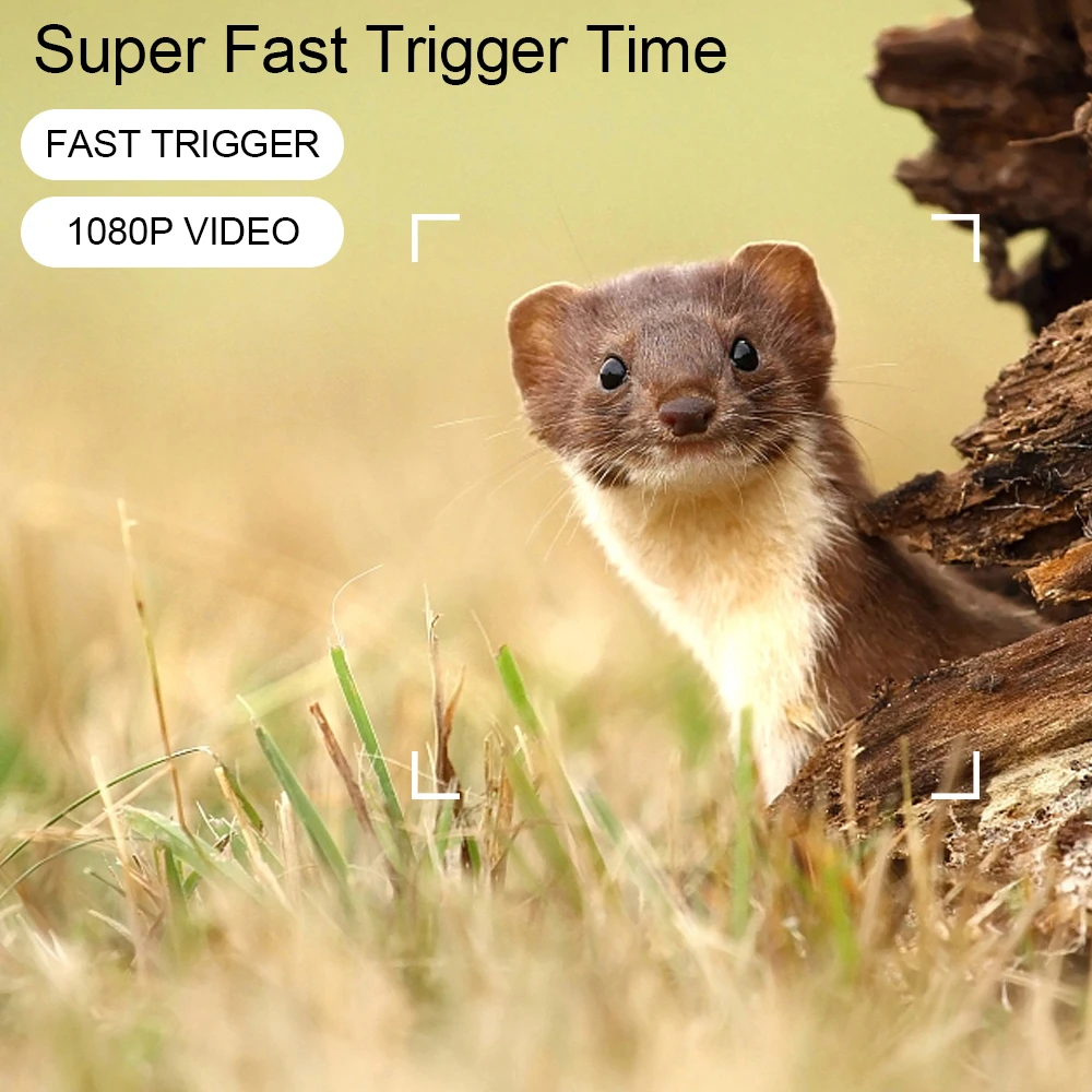 

HB561 Hunting Camera Infrared Night Vision HD 1080P Camcorder Mini Portable Waterproof Camera for Outdoor Wildlife Game