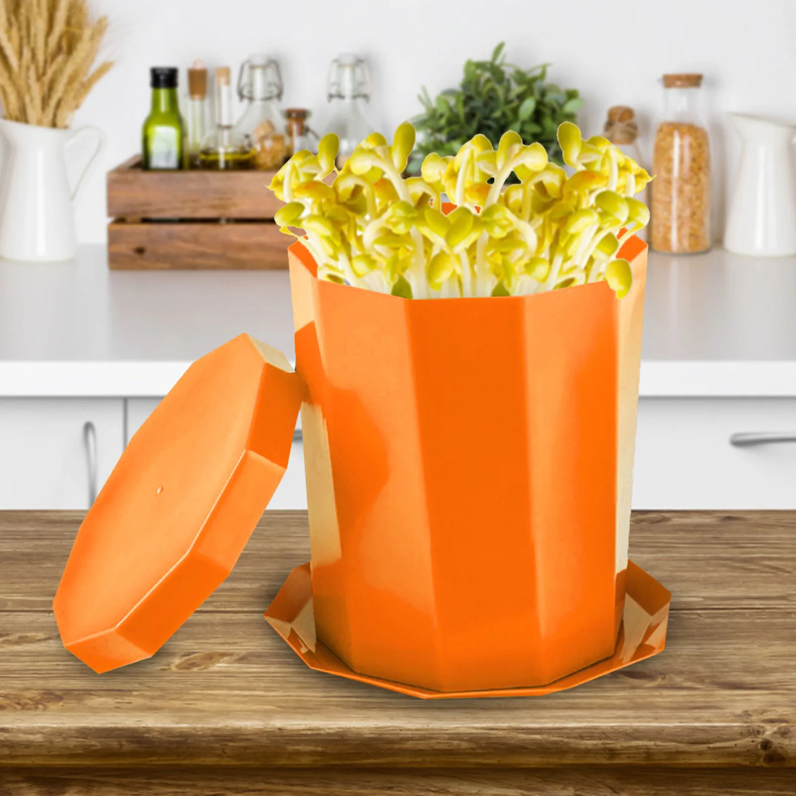 Баночка для выращивания бобов пластиковый сетчатый фильтр семян баночка