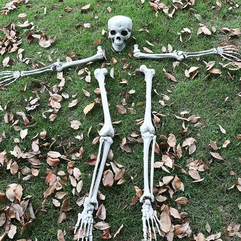 

Creepy Halloween Decoration Skull Skeleton Horror Set Full Body Skeleton for Halloween Garden Decoration