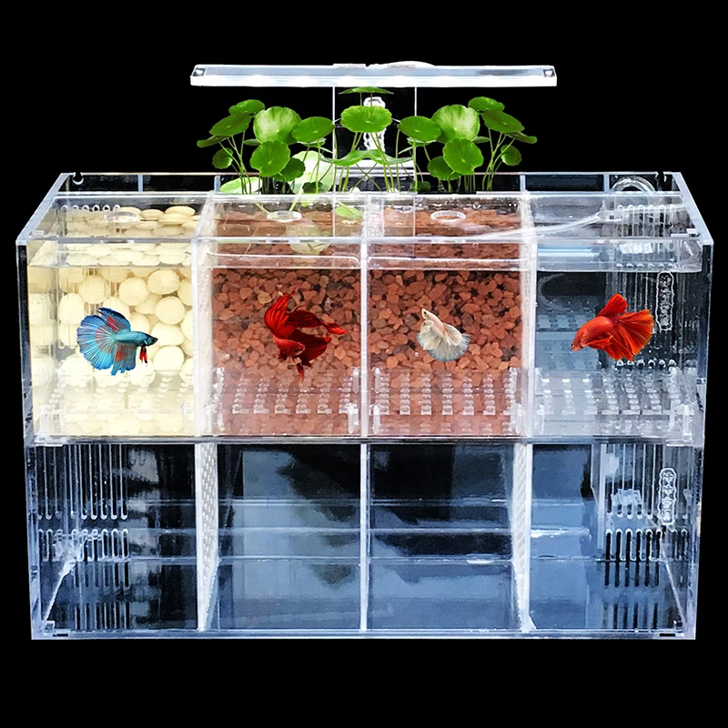 Креативная изоляционная коробка для мелких рыбок разведения акриловый