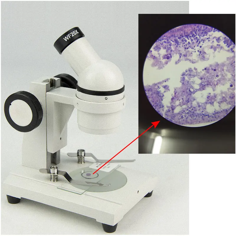 Стерео микроскоп 40x миниатюрный монокулярный дисекционный подходящее