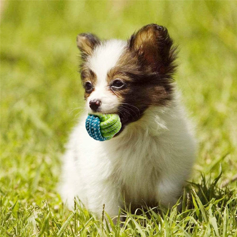 

120 Pcs Pet Dog Toys Cotton Ball Puppy Chew Molar Toy Teeth Clean Interactive Chewing Durable Braided Rope Wholesale K1