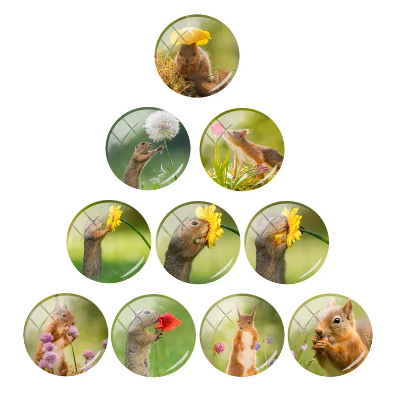 

TAFREE Fashion Green Ground Squirrel 12mm/15mm/16mm/18mm/20mm photo glass cabochon dome flat back DIY creation for friends