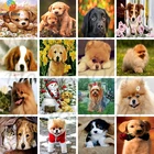 Алмазная 5d-картина с изображением Померанской собаки, полностью круглая Алмазная вышивка сделай сам, мозаика стразы, ручная работа, подарок, украшение для дома