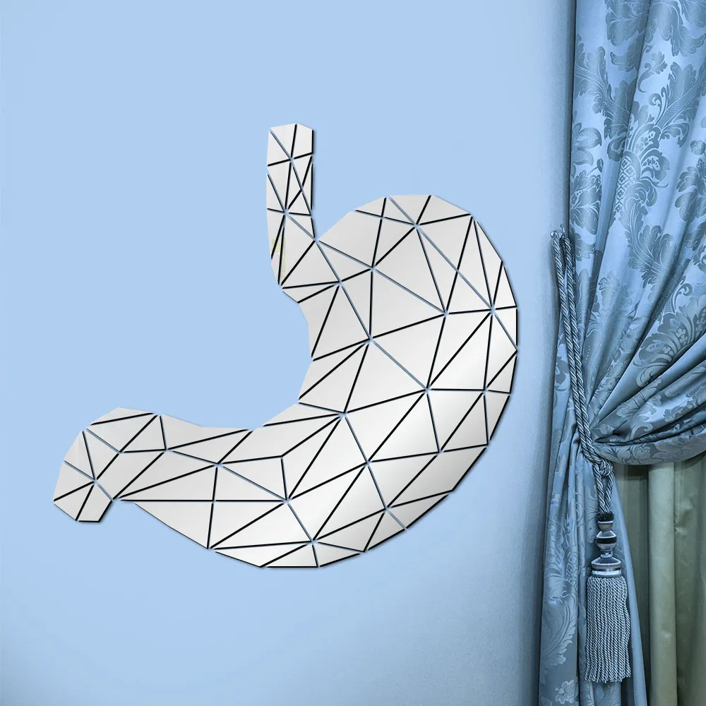 3D Зеркальная Наклейка на стену животная анатомия Геометрическая акриловая
