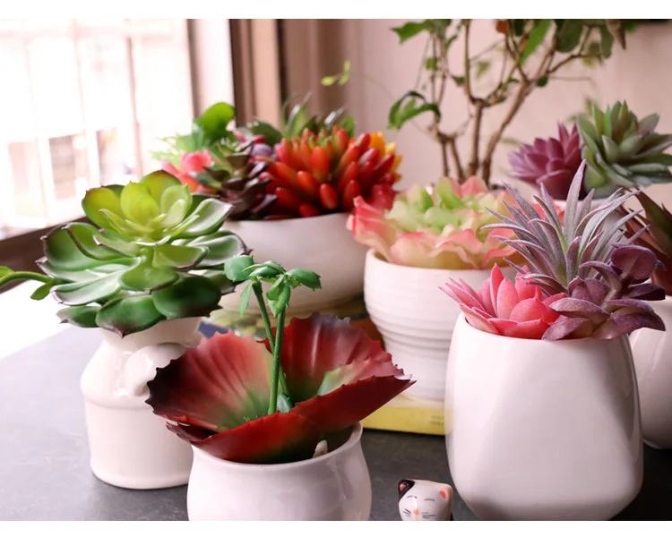 Большие зеленые красные розовые белые синие Искусственные суккуленты