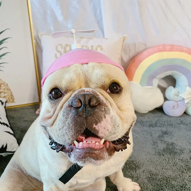 Новинка милая игрушка для домашних животных на открытом воздухе бамбуковый плот