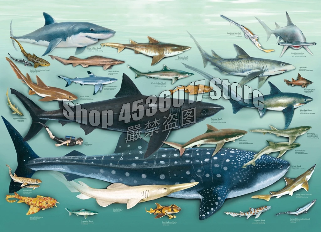 5d Diy Алмазная картина полностью квадратная вышивка крестом мозаика акулы Морская