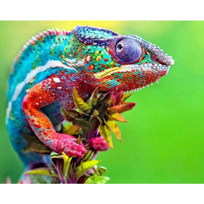 Алмазная живопись сделай сам лягушка полная вышивка картина стразы мозаика