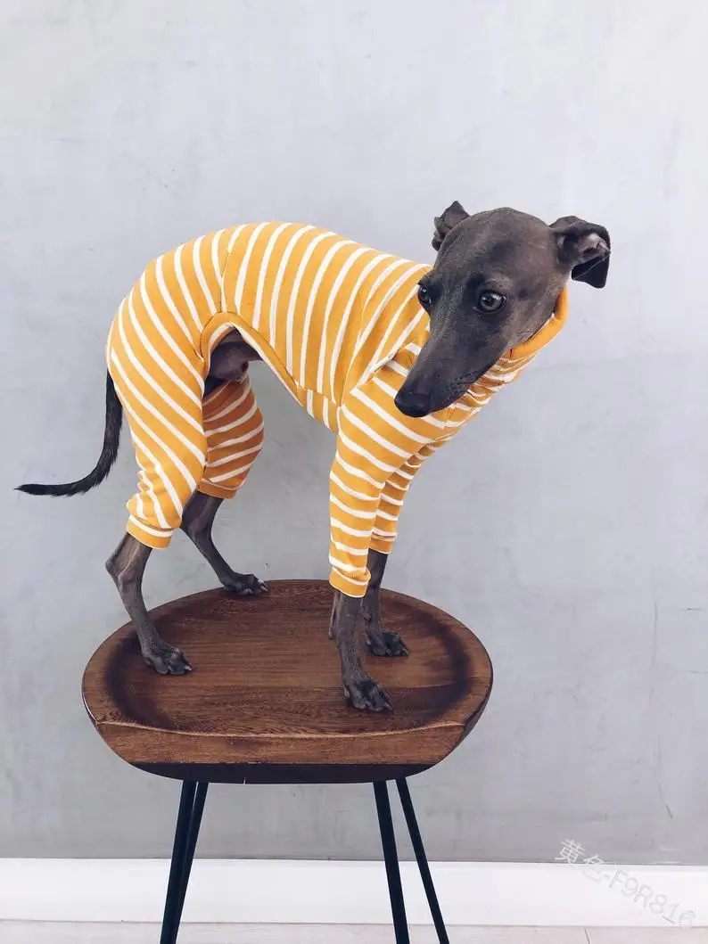 

European and American Fashion Striped Dog Clothing Wish New Four-legged Pet Suit High-necked Warm Dog Shirt Pure Cotton Clothes